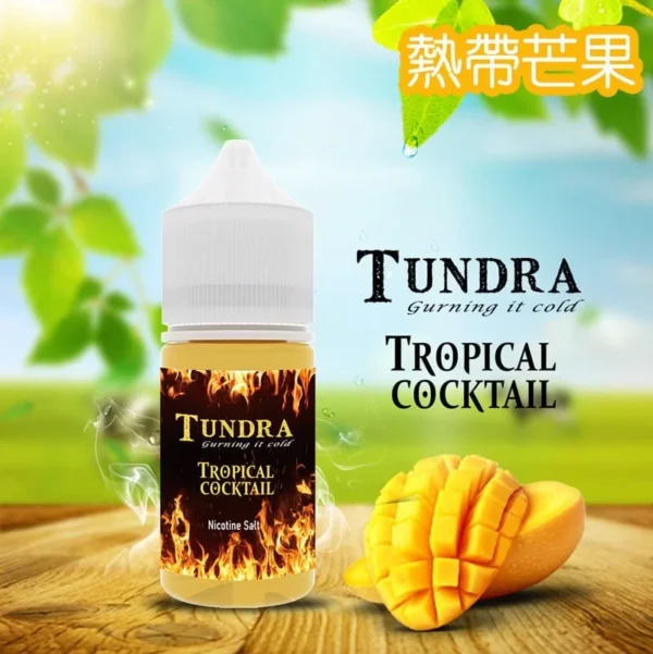 TUNDRA T牌