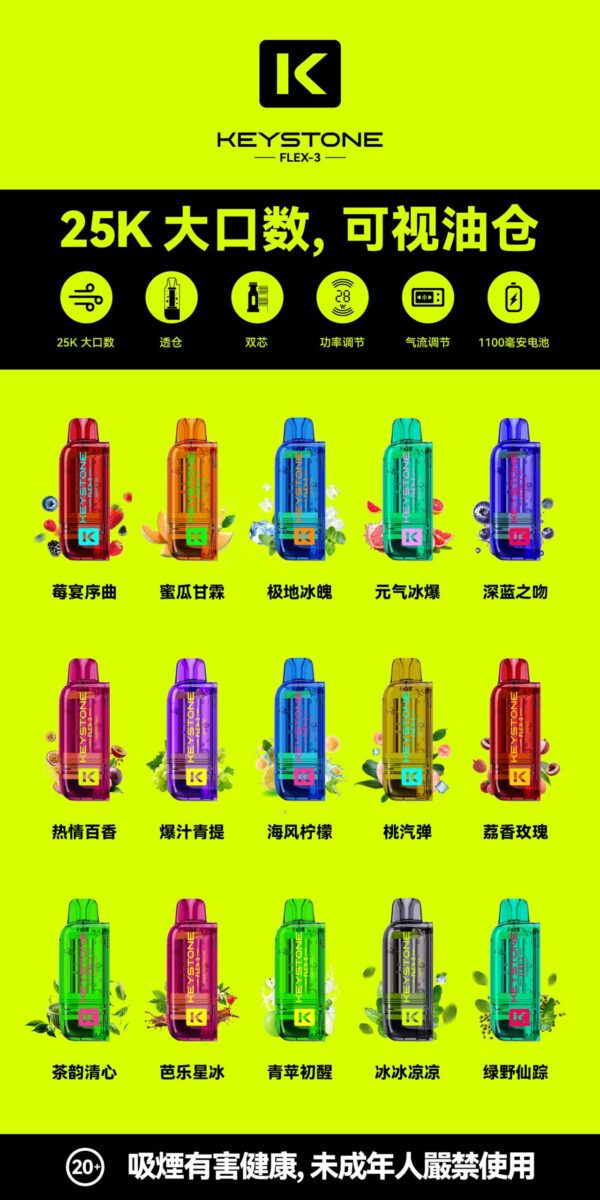 KEYSTONE  FLEX-3 鑰石 25000口 專彈專機套裝｜大容量續航・台灣現貨